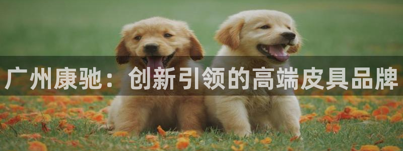 辉达娱乐线路检测