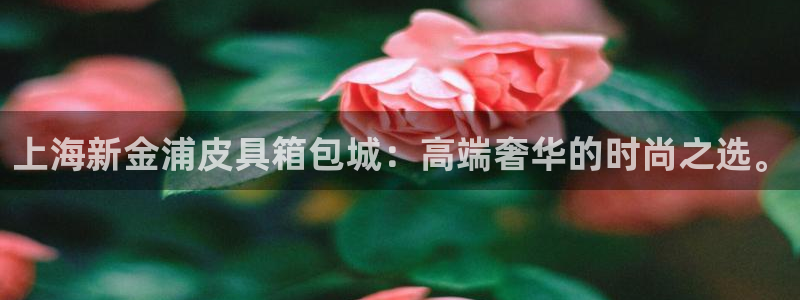 辉达娱乐重庆时时彩