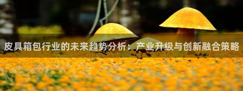 辉达娱乐公司