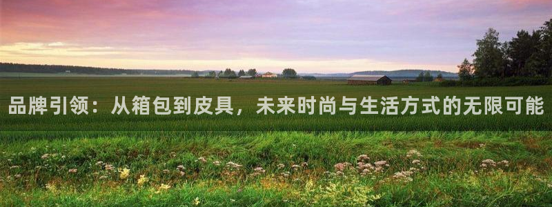 辉达平台娱乐怎么样