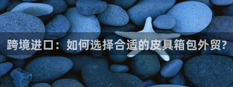 辉达娱乐公司