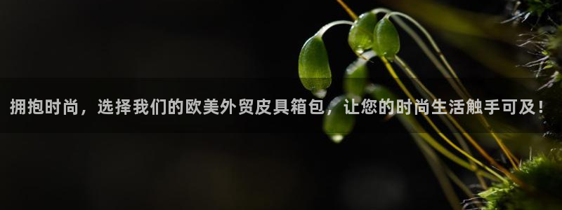 辉达平台官网下载