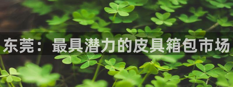 辉达娱乐待遇