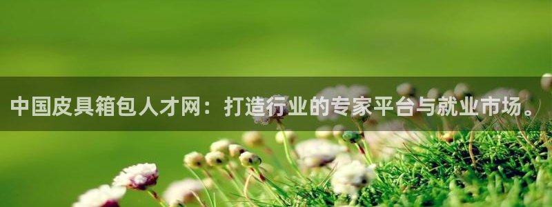 辉达娱乐加扣75775