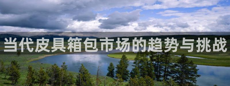 辉达娱乐123123