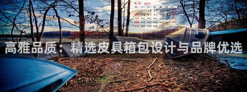 辉达娱乐福彩