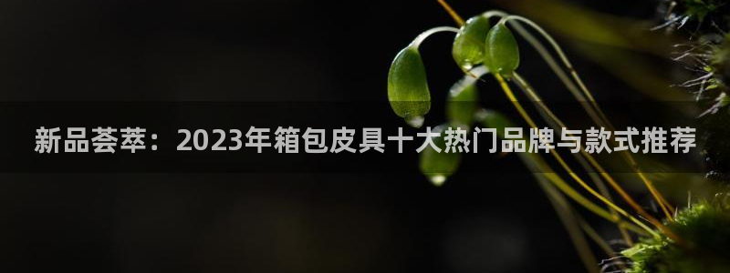 专业辉达娱乐官方网址
