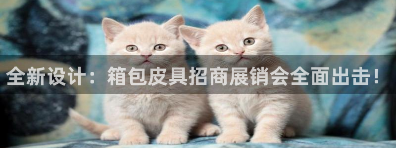 辉达集团官方网站