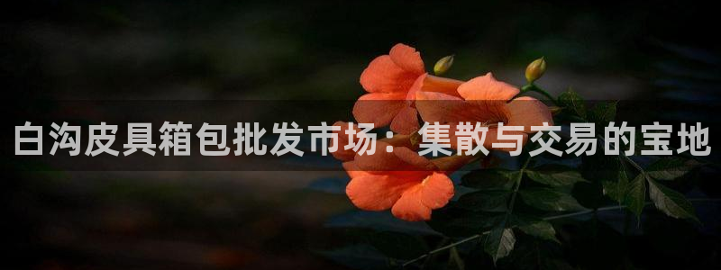 辉达娱乐检测