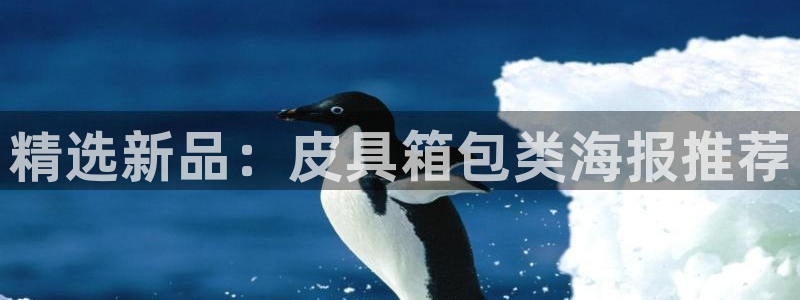 辉达娱乐 75505