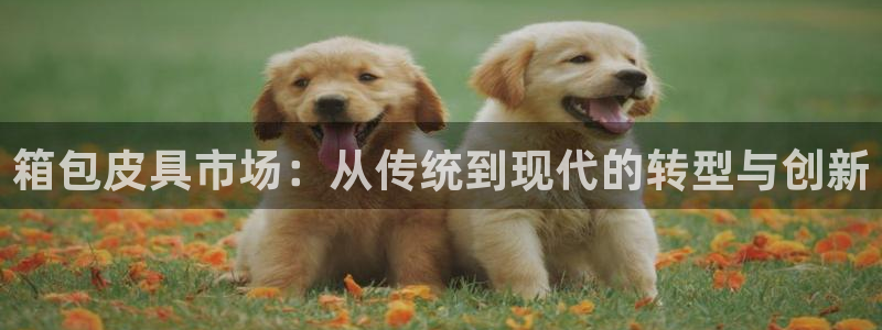 代理辉达娱乐开户注册