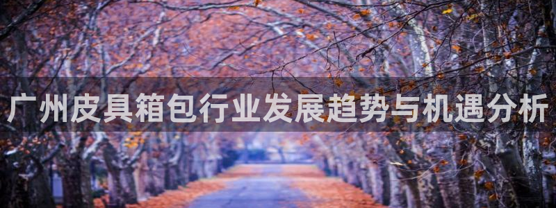 辉达娱乐app