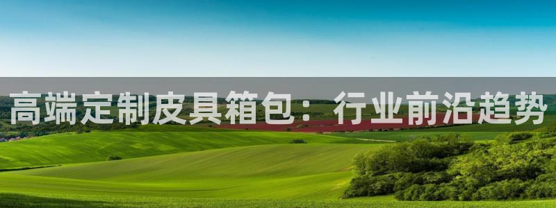 辉达平台官网电话