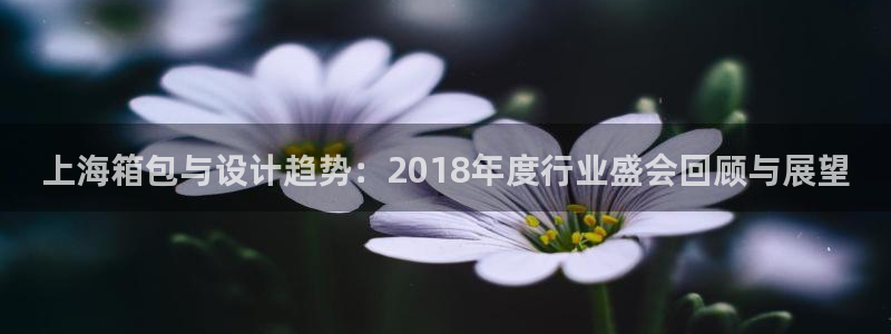 信誉辉达娱乐平台