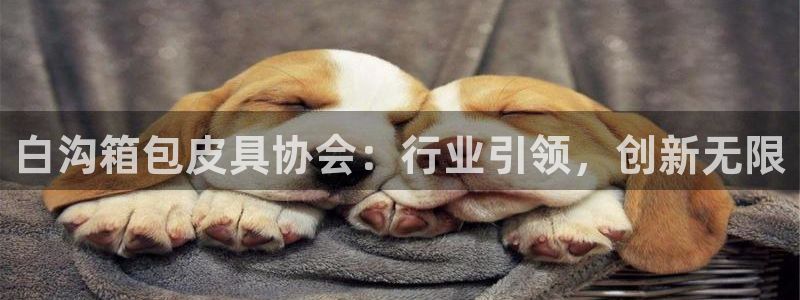 辉达娱乐广东11选5