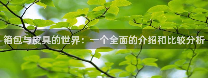 辉达娱乐最新消息新闻