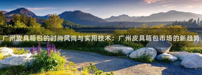 达利娱乐王辉