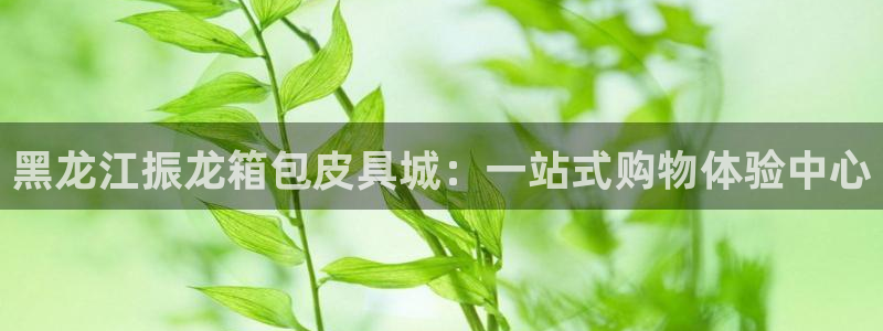 辉达娱乐属于什么档次