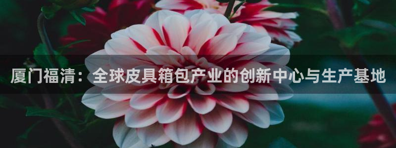 辉达娱乐平台