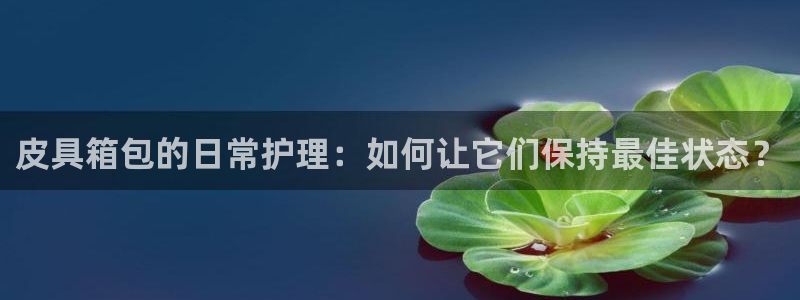 辉达娱乐体彩