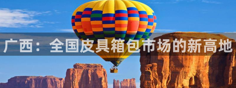 辉达集团官方网站