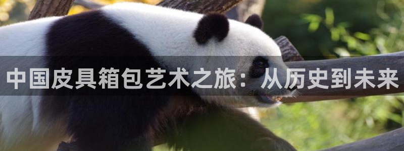 信誉辉达娱乐平台