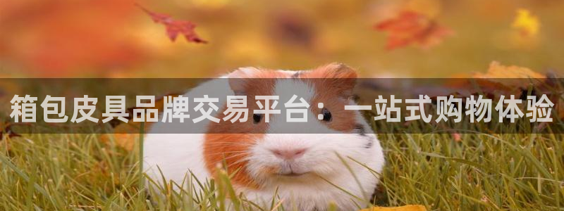 辉达娱乐丶75505