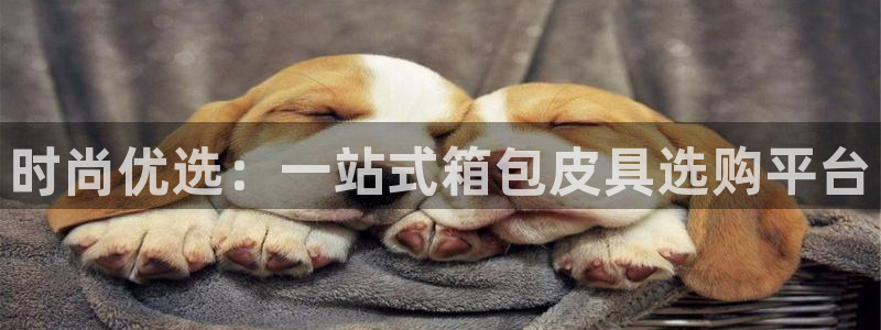 辉达娱乐下载