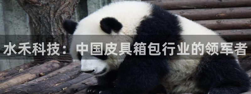 辉达娱乐检测