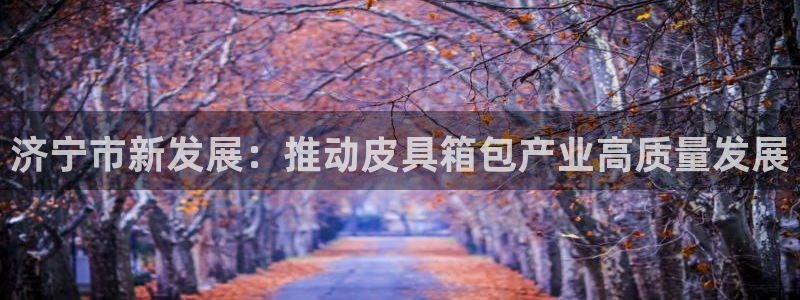 辉达娱乐最新消息新闻