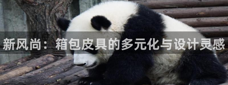正规辉达娱乐官方网址
