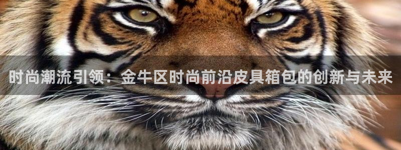 辉达娱乐分红
