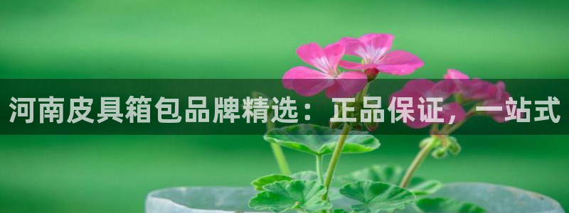 正规辉达娱乐平台