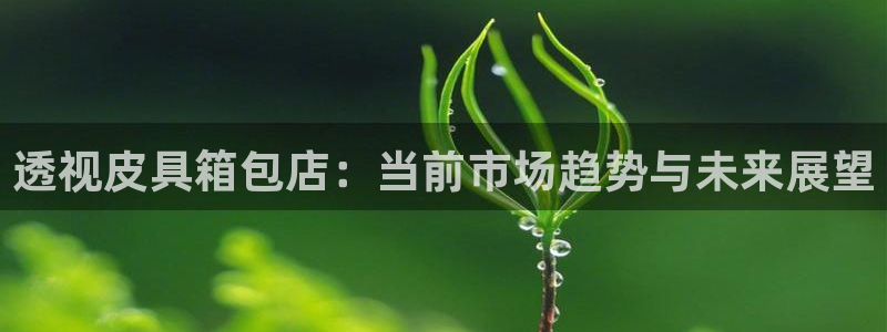 辉达娱乐丶75505