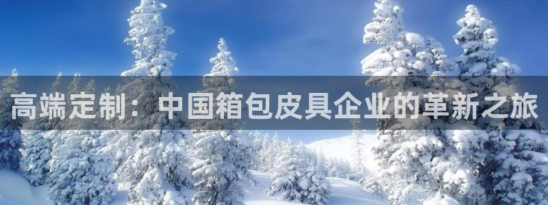 辉达娱乐丿39444
