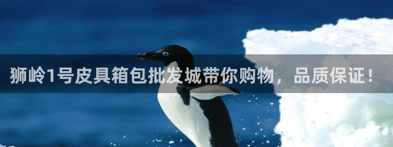 辉达娱乐广东11选5