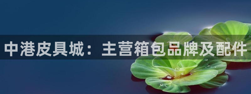 辉达怎么样
