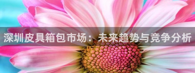 菲律宾辉达娱乐