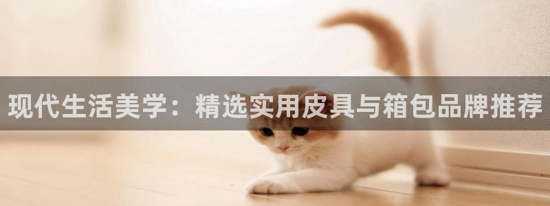 辉达娱乐分红