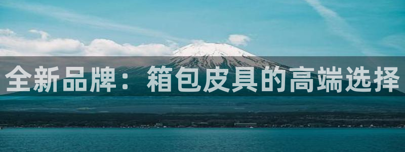 辉达娱乐总部
