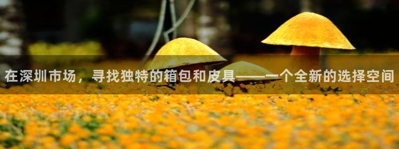 辉达娱乐检测