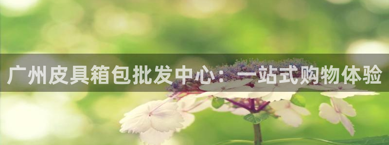 辉达娱乐计划软件