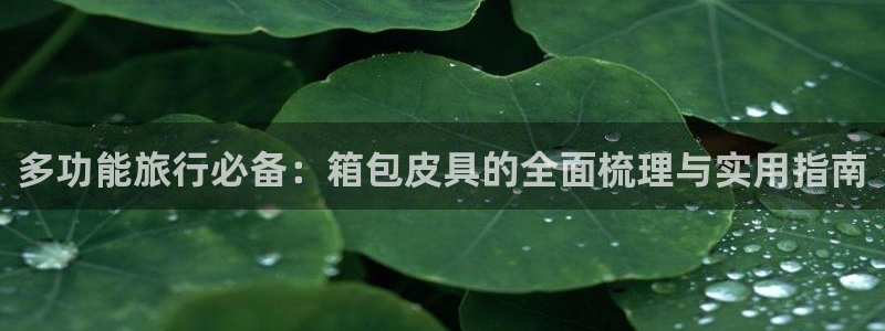 辉达集团官方网站
