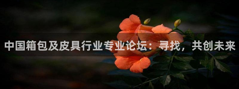 辉达娱乐五75505
