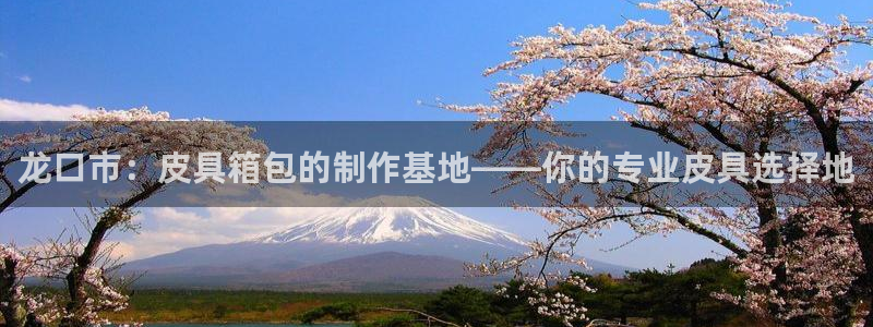 辉达娱乐电子