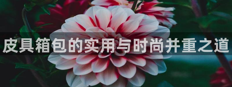 辉达娱乐开户注册