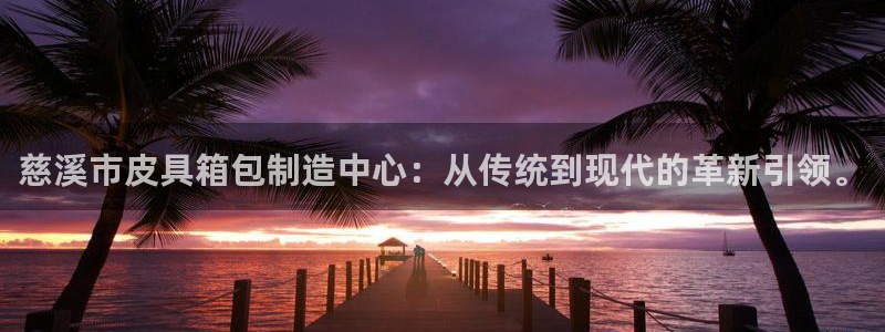 达利娱乐王辉