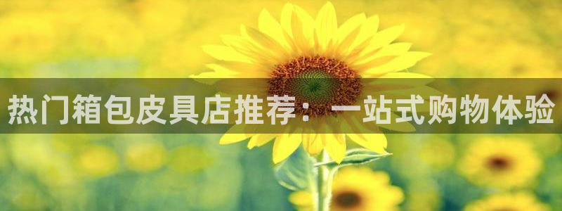 专业辉达娱乐官方网址
