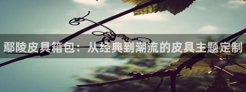 辉达娱乐衤39444