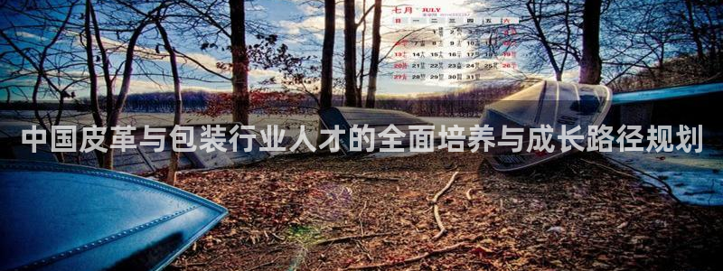 辉达娱乐线路检测
